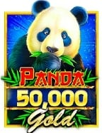 คู่มือแนะนำ รหัส เท ส joker สำหรับมือใหม่